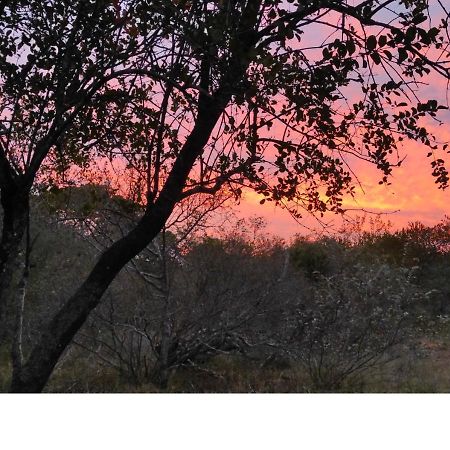 Lion King Villa Marloth Park Eksteriør bilde