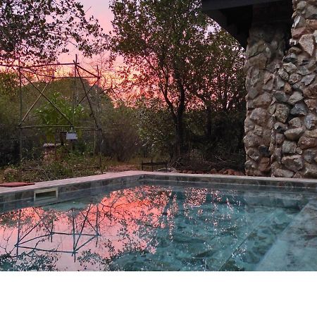 Lion King Villa Marloth Park Eksteriør bilde
