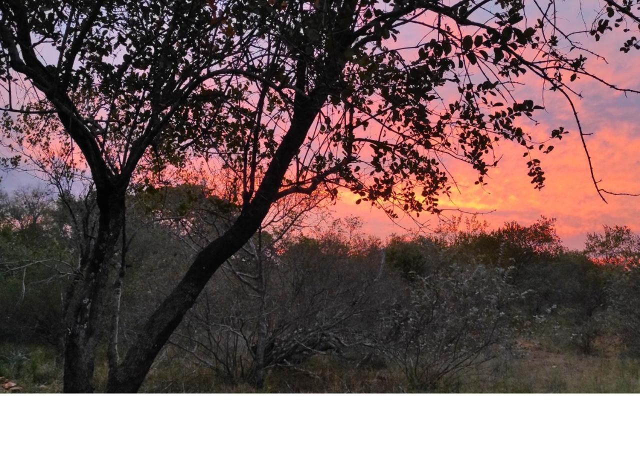 Lion King Villa Marloth Park Eksteriør bilde