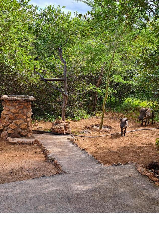 Lion King Villa Marloth Park Eksteriør bilde