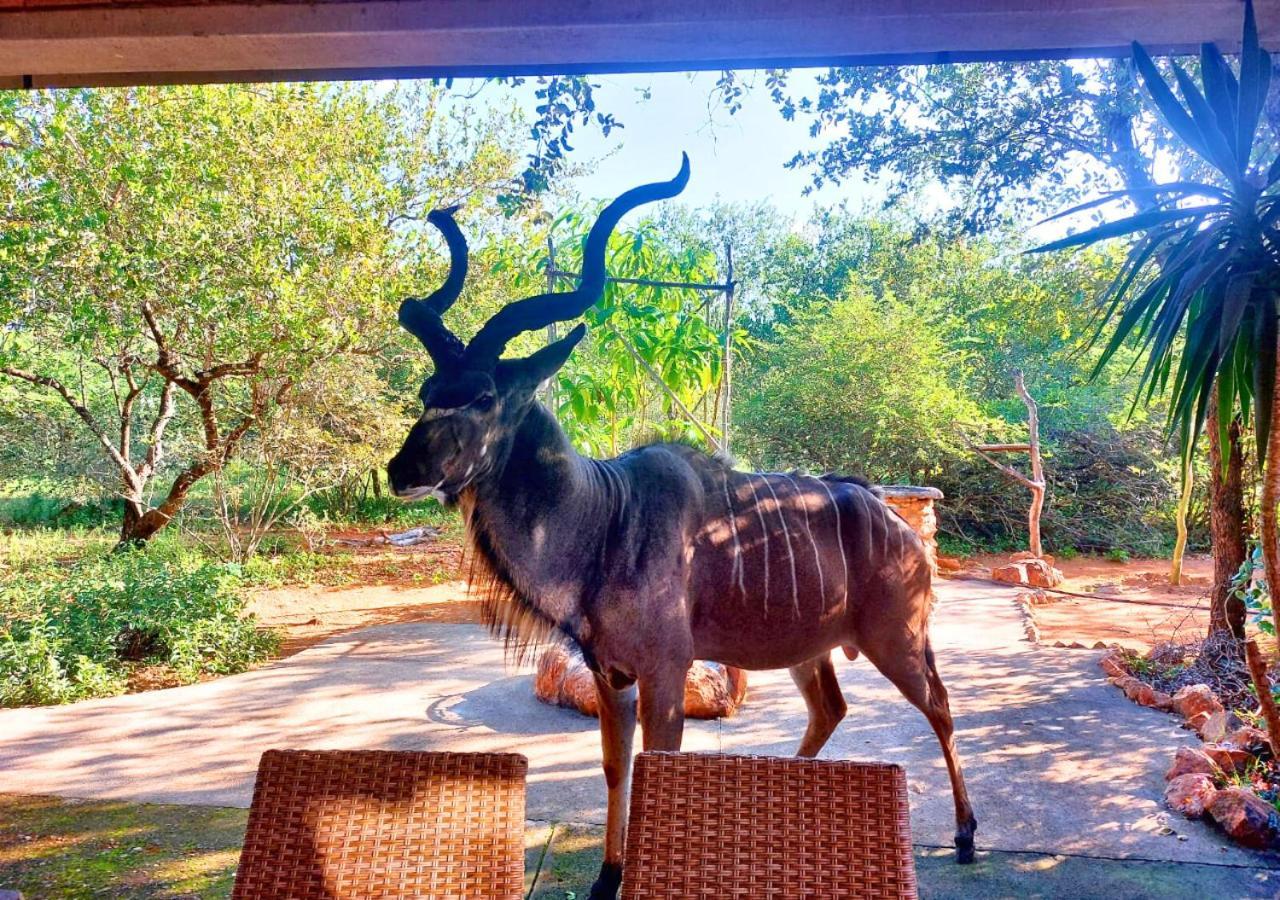Lion King Villa Marloth Park Eksteriør bilde